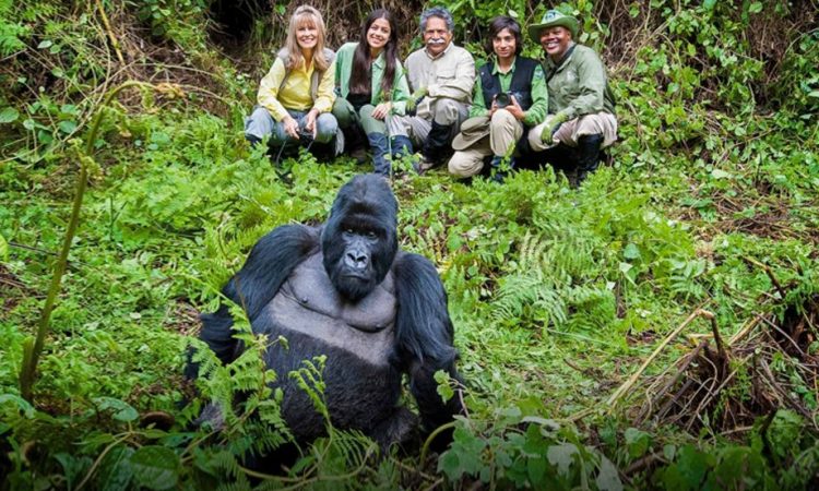 DJ Shiru: Uganda’s Pioneer Live Television Veejay Gorilla Trekking Expedition