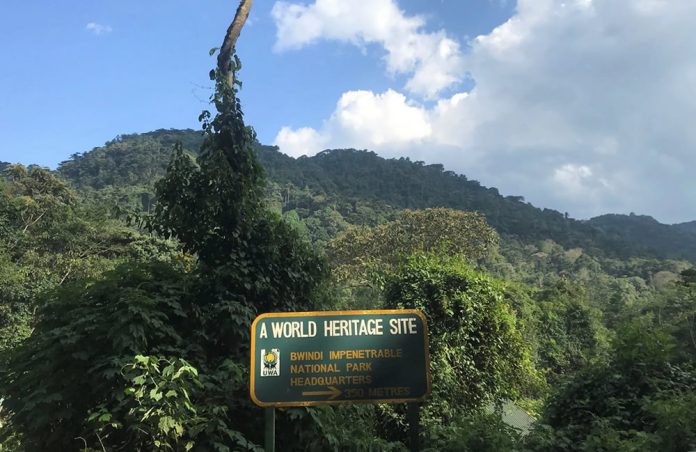 Bwindi Impenetrable national Park