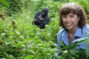 Gorilla-tracking-in Bwindi